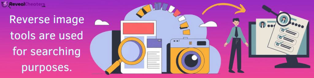 What are Reverse Image Search Tools used for?