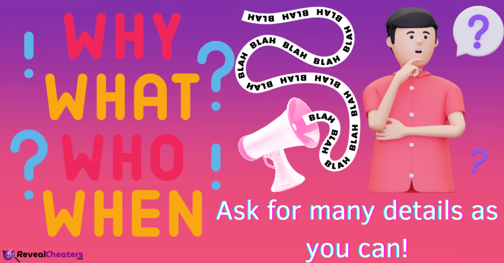 What Kind of Questions can be Asked to a Cheater?