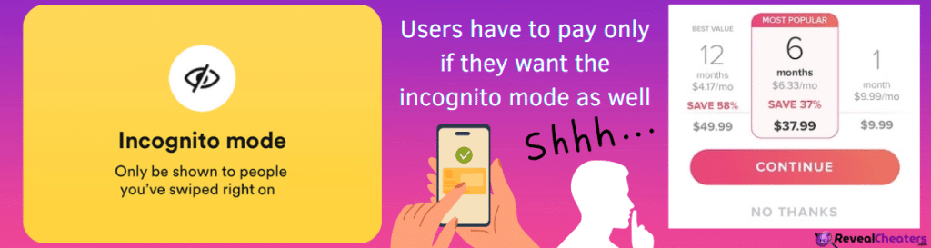 Do Hidden Dating Accounts need to Pay to keep that Option Available?